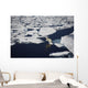Polar bear on melting sea ice, high angle view from cruise ship Wall Mural