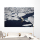 Polar bear on melting sea ice, high angle view from cruise ship Wall Mural
