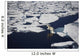 Polar bear on melting sea ice, high angle view from cruise ship Wall Mural