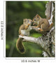 Two Red Squirrels Playing In A Tree Wall Mural