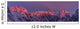 Pink clouds Wall Mural