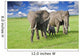 Elephants Masai Mara Park