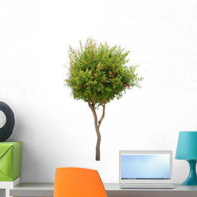 Pomegranate Tree Wall Decal shown on a wall