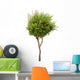Pomegranate tree Wall Decal