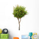 Pomegranate tree Wall Decal