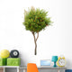 Pomegranate tree Wall Decal