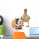 Duckling and Guineapig Wall Decal