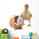 Duckling and Guineapig Wall Decal