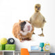 Duckling and Guineapig Wall Decal