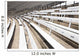 Stadium Seating Wall Mural