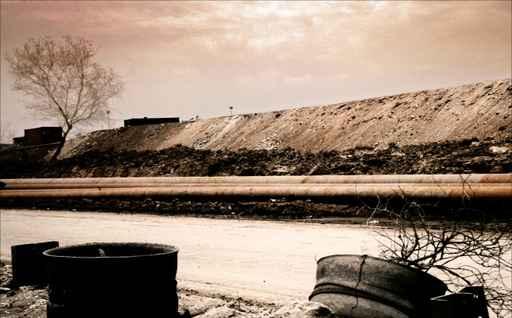 Barren Wasteland Wall Decal