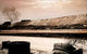 Barren Wasteland Wall Decal