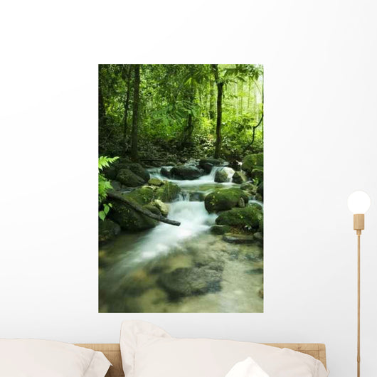 Mountain Stream Wall Decal