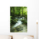 Mountain Stream Wall Decal