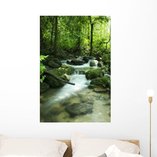 Mountain Stream Wall Decal