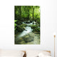 Mountain Stream Wall Decal