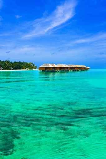 Water Bungalows Tropical Island Wall Decal