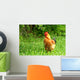 Rhode Island Red Rooster Wall Mural