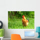 Rhode Island Red Rooster Wall Mural