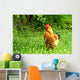 Rhode Island Red Rooster Wall Mural