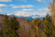 Early Snow Washington