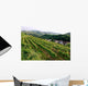 Top Mountains Kaiserstuhl Vineyards