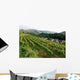 Top Mountains Kaiserstuhl Vineyards
