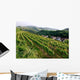 Top Mountains Kaiserstuhl Vineyards
