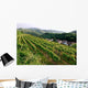 Top Mountains Kaiserstuhl Vineyards