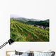 Top Mountains Kaiserstuhl Vineyards