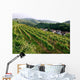Top Mountains Kaiserstuhl Vineyards