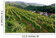 Top Mountains Kaiserstuhl Vineyards