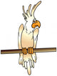 Cockatoo King Crest