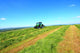 Haymaking Sotland