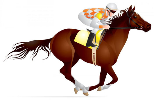 horse race, derby Wall Decal