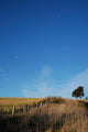 Landscape Wall Mural