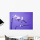 Orchid Wall Mural