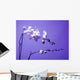 Orchid Wall Mural