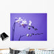 Orchid Wall Mural