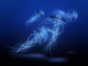 Group of Jellyfish Wall Mural