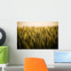 Heads Golden Grain Stretch Wall Decal
