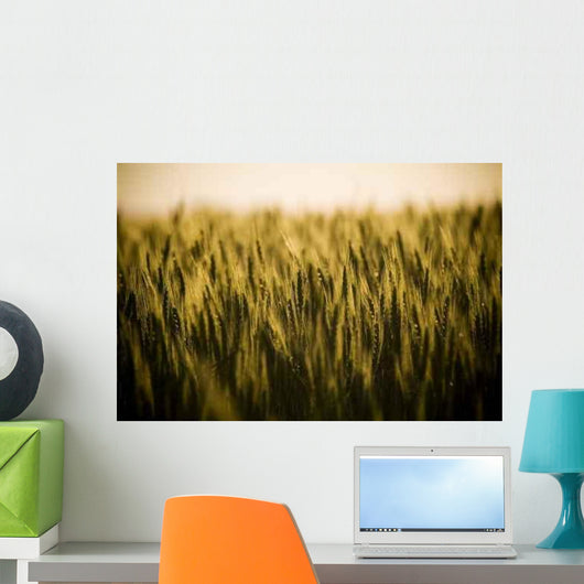 Heads Golden Grain Stretch Wall Decal