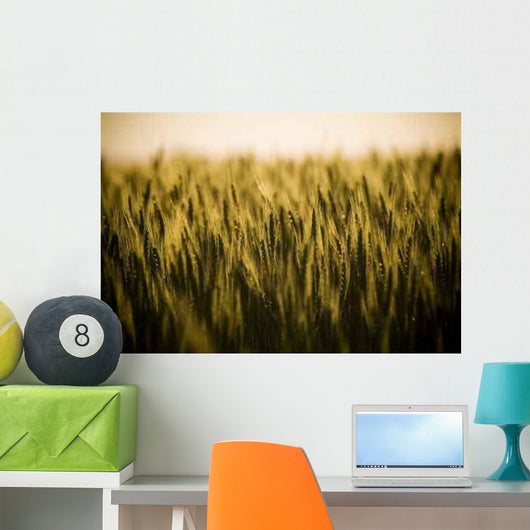 Heads Golden Grain Stretch Wall Decal