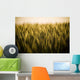 Heads Golden Grain Stretch Wall Decal