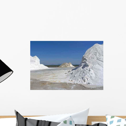 Saline Wall Decal Design 2