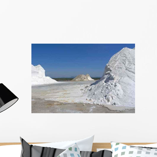 Saline Wall Decal Design 2