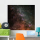Deeps Space Wall Decal