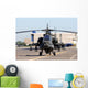 Military Helicopter Wall Mural