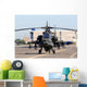 Military Helicopter Wall Mural