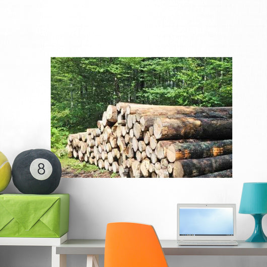 Tree Trunks Wall Decal